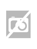 SONDA TEMPERATURA EXTRA LIMIT