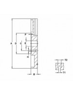 PLATOS LISOS DE GRANDES DIMENSIONES TDG